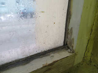 Asbesthaltiger Fensterkitt Probenahme Sanierung klein